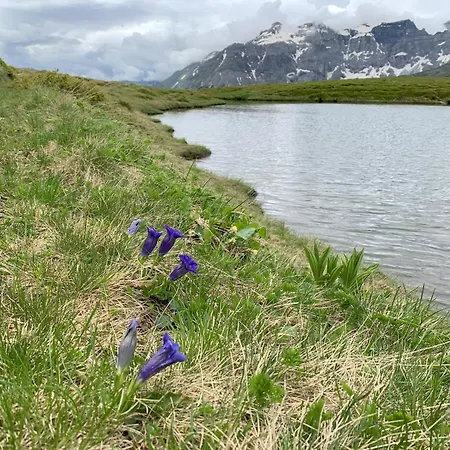 Auszeit Im Holzhaus דירה שטיינבאך אם ברנר