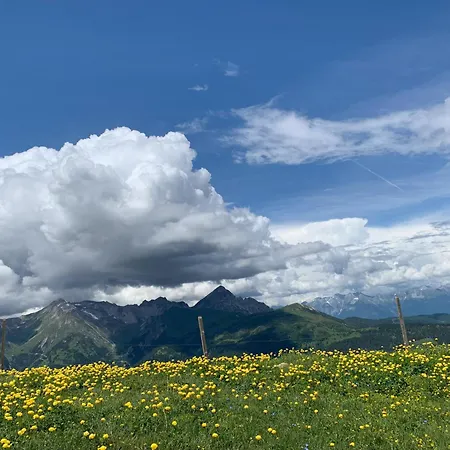 Auszeit Im Holzhaus דירה