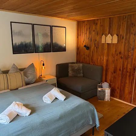 דירה Auszeit Im Holzhaus שטיינבאך אם ברנר