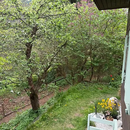 Apartman Auszeit Im Holzhaus