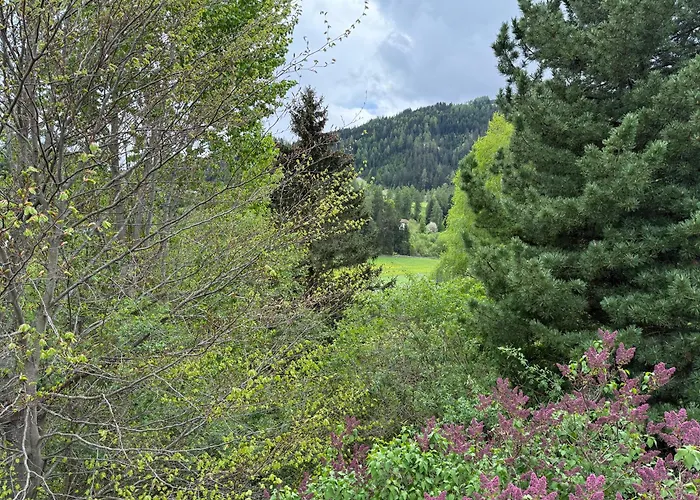 Auszeit Im Holzhaus * Steinach am Brenner